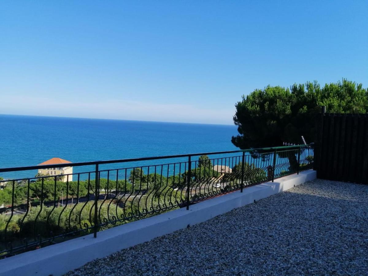 Agriturismo Un Mare Di Fiori 벤티밀리아 외부 사진