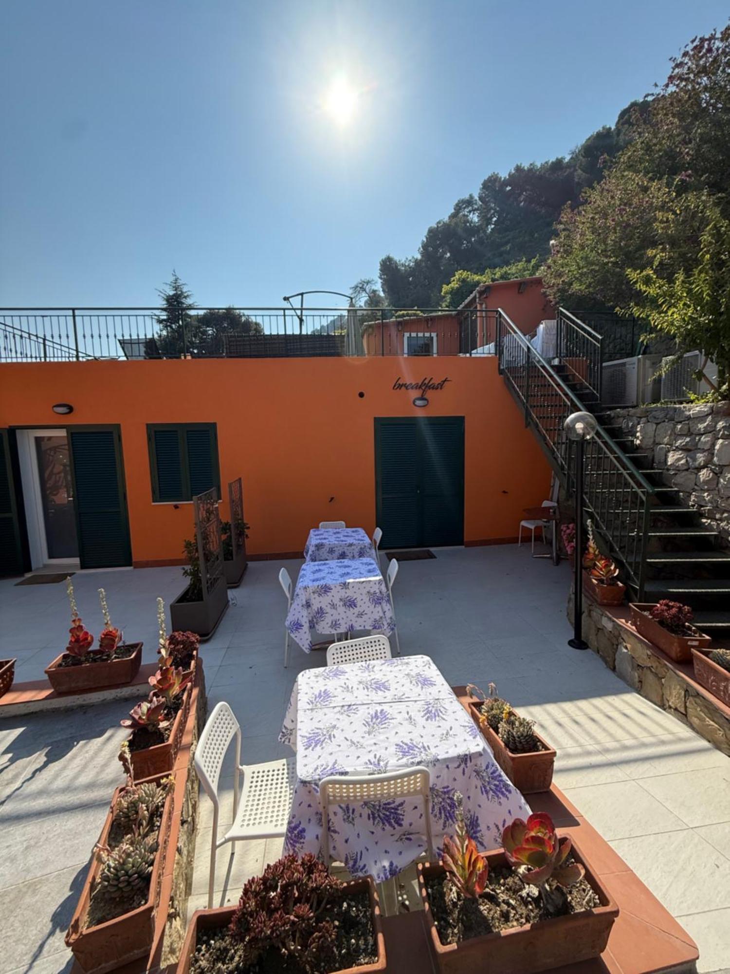 Agriturismo Un Mare Di Fiori 벤티밀리아 외부 사진