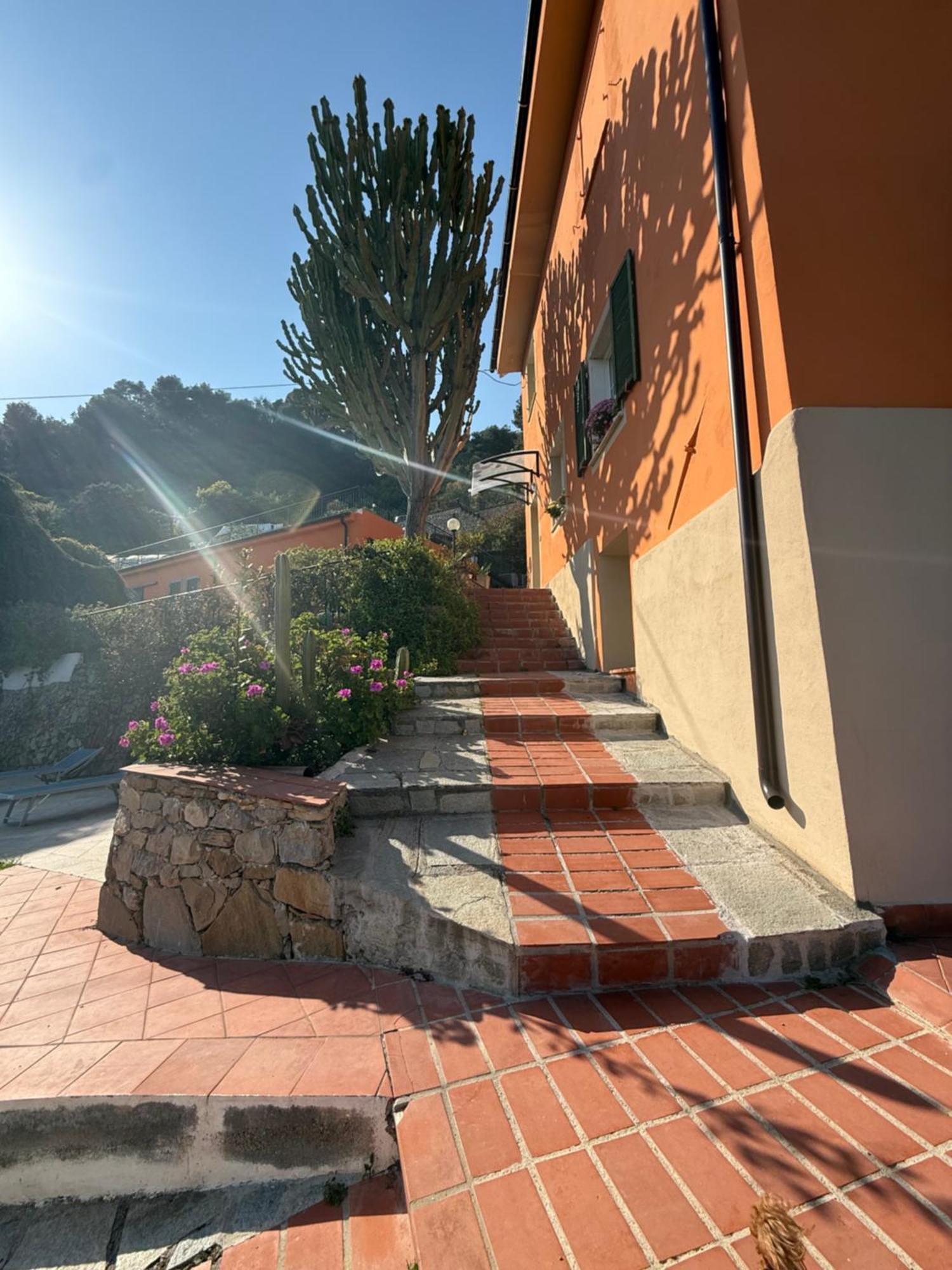 Agriturismo Un Mare Di Fiori 벤티밀리아 외부 사진