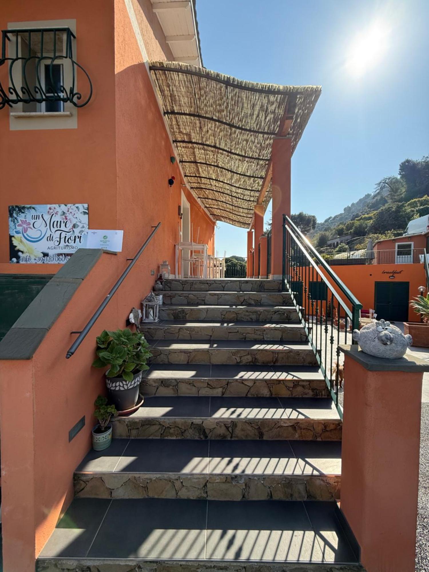 Agriturismo Un Mare Di Fiori 벤티밀리아 외부 사진