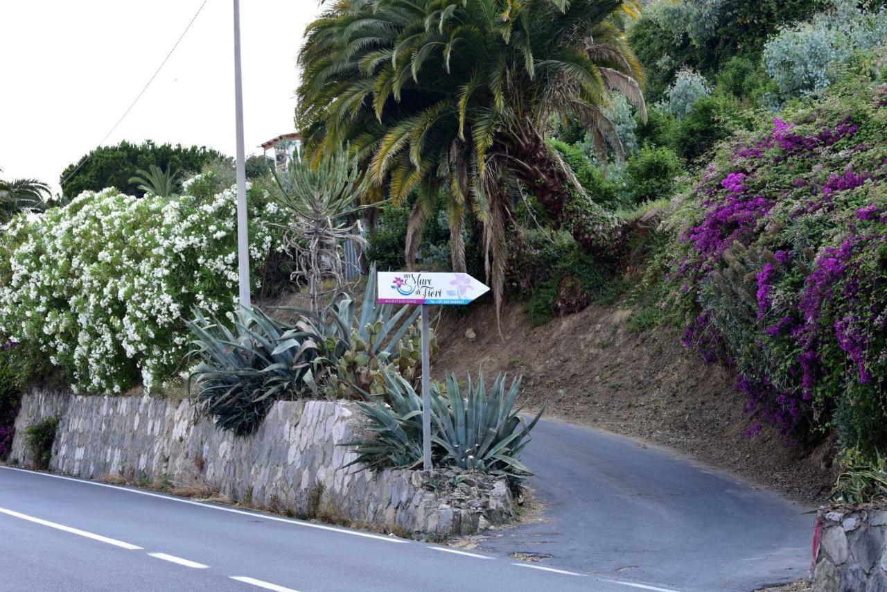 벤티밀리아 Agriturismo Un Mare Di Fiori 빌라 외부 사진