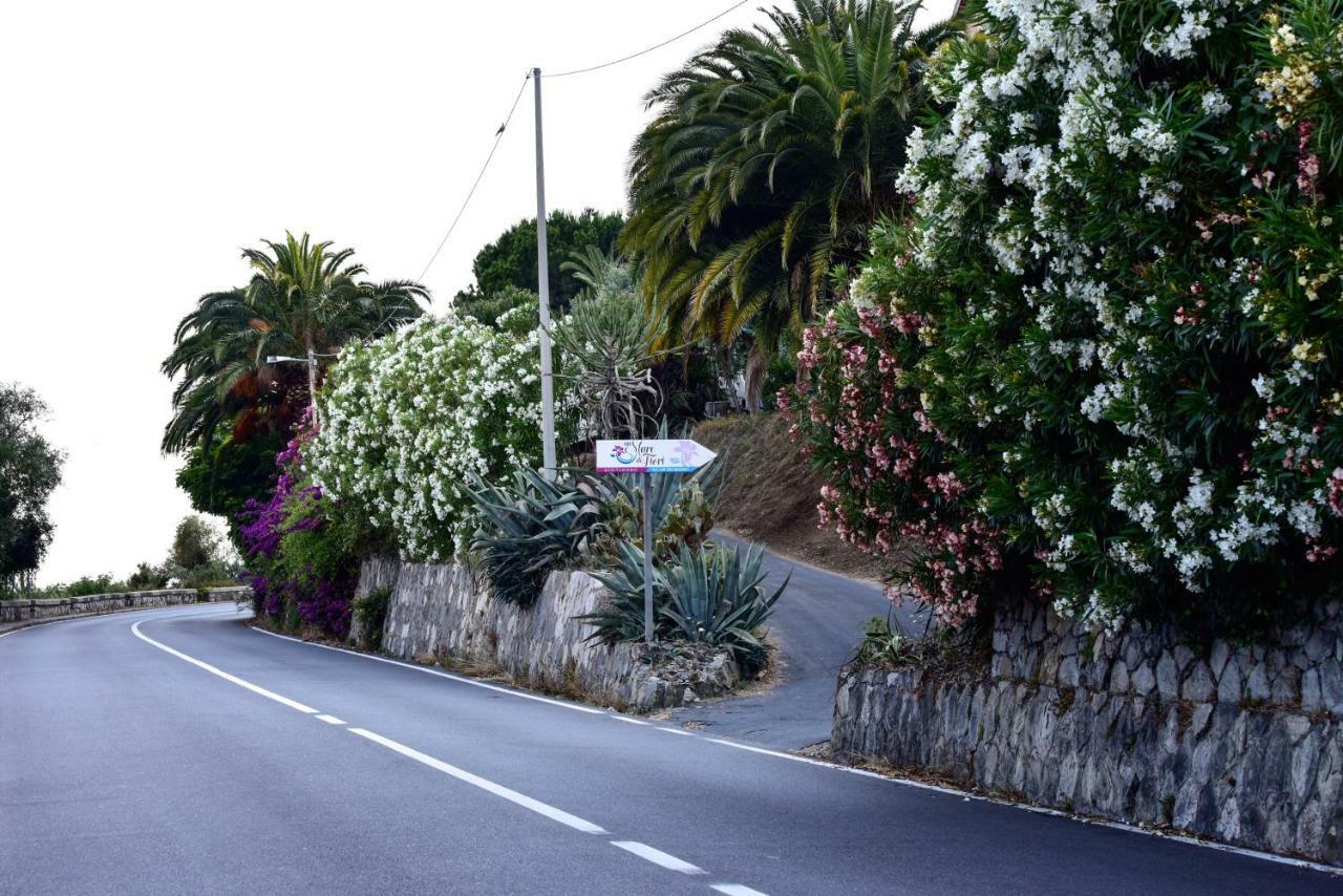 Agriturismo Un Mare Di Fiori 벤티밀리아 외부 사진