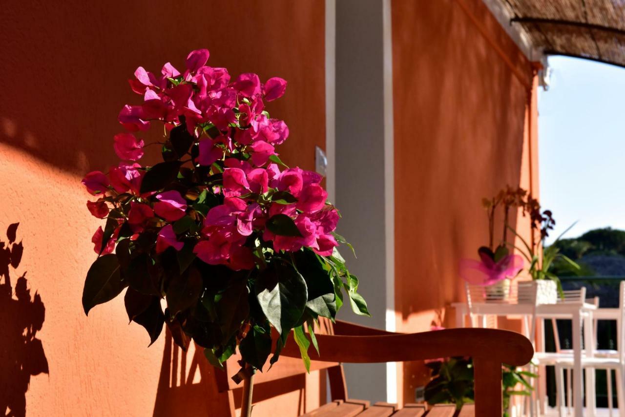 Agriturismo Un Mare Di Fiori 벤티밀리아 외부 사진